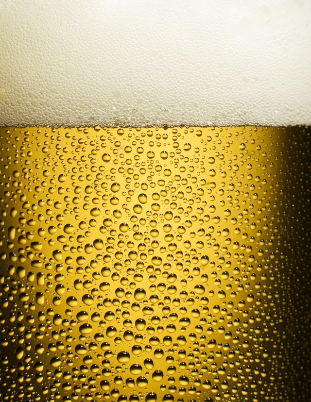 Bier